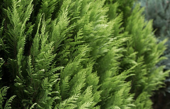 
Warning: Illegal string offset 'alt' in /home/.sites/514/site6585843/web/froehlich-wp/wp-content/themes/froehlich/blocks/image_grid.php on line 34
