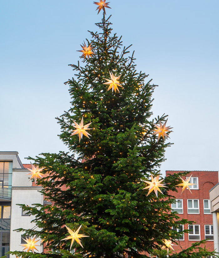 
Warning: Illegal string offset 'alt' in /home/.sites/514/site6585843/web/froehlich-wp/wp-content/themes/froehlich/blocks/image_grid.php on line 34
