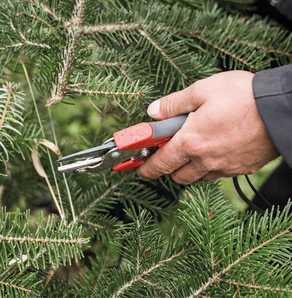 
Warning: Illegal string offset 'alt' in /home/.sites/514/site6585843/web/froehlich-wp/wp-content/themes/froehlich/blocks/image_grid.php on line 34
