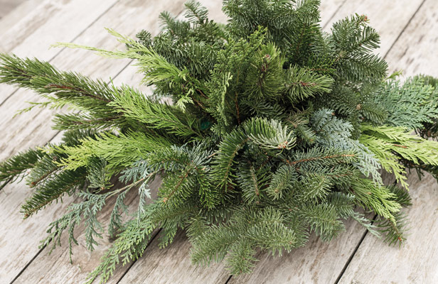 
Warning: Illegal string offset 'alt' in /home/.sites/514/site6585843/web/froehlich-wp/wp-content/themes/froehlich/blocks/image_grid.php on line 34
