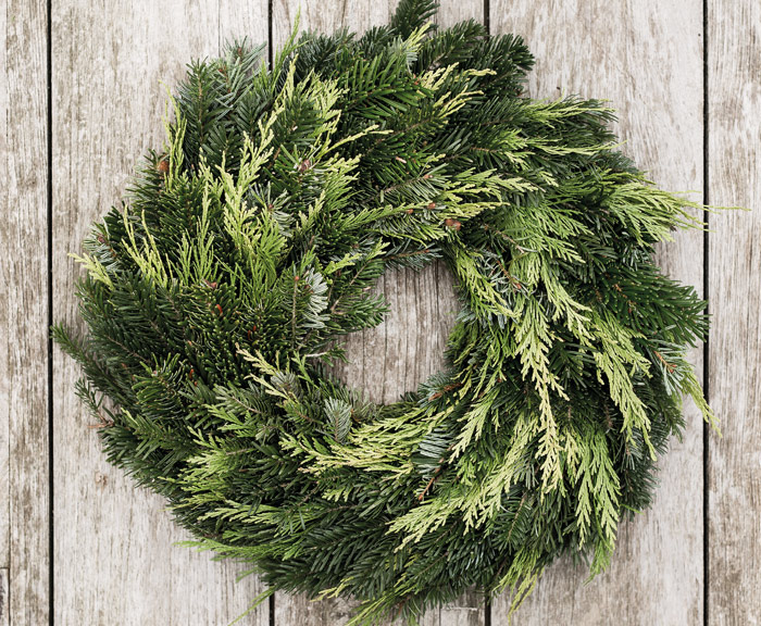 
Warning: Illegal string offset 'alt' in /home/.sites/514/site6585843/web/froehlich-wp/wp-content/themes/froehlich/blocks/image_grid.php on line 34
